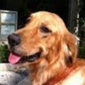 Meet your Posher, Will